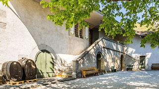 Château de Luins