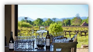 Degustazione di vini e tour presso i vigneti e l'azienda vinicola della famiglia Hoopes