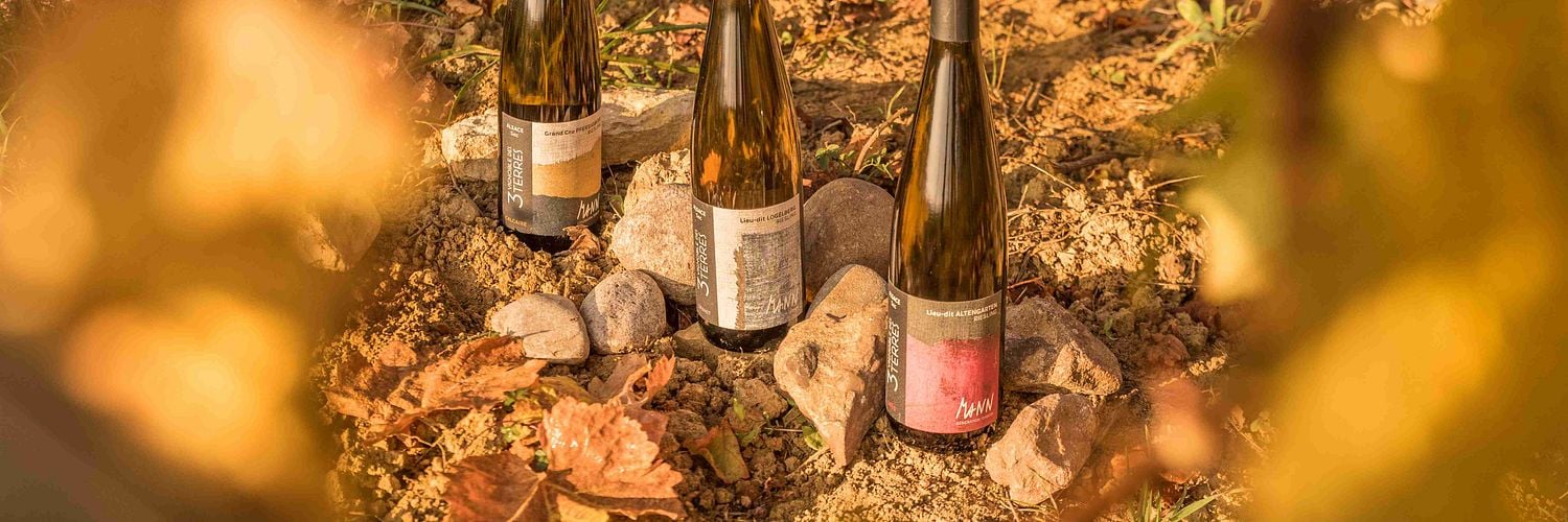 Domaine Mann - Vignoble Des 3 Terres - DSC 2294 11zon