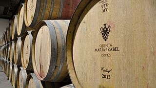 Douro Valley Tour: vinprovningar, båttur och lunch