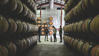 Dégustation de vins et visite du domaine Voyager