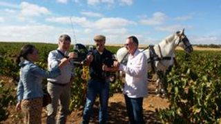 Tour del vino dell'Estremadura 1/2 giornata