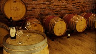 Degustazione vini nella bottaia di Casal De Luca