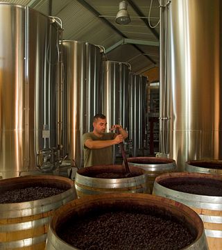Cata de vinos y visita al Domaine Sol Payré