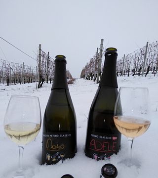 Taste Piedmont’s Rare Gamba di Pernice Wines