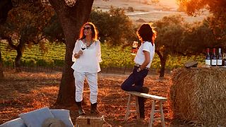 Piquenique Gourmet na Herdade do Freixo