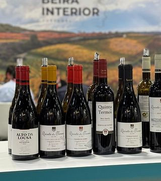 Quinta Dos Termos