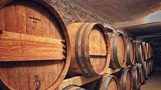 Visita y degustación en Bodega Roxs
