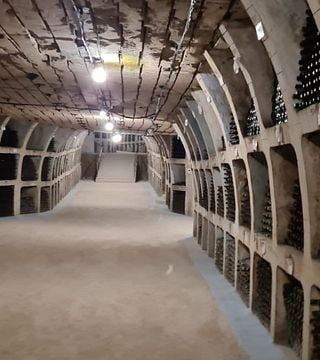 Escursione alle cantine Cricova e Milestii Mici con degustazione di vini