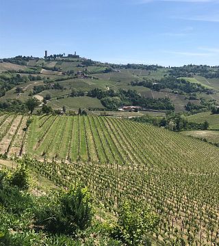 Matteo Soria Winery