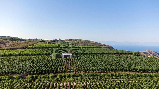 Wine Resort Accommodation at Tenuta Di Castellaro