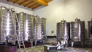 Degustação na adega da Tenuta di Gramineta
