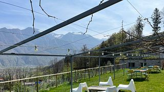 Azienda Agricola Edoardo Patrone