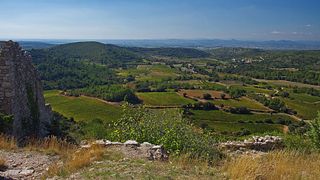 Dégustation et visite des vins du Clos de l'Amandaie