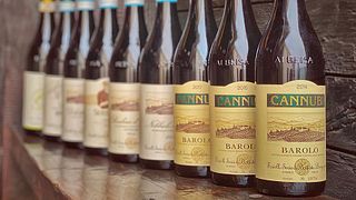 Langhe Entdecken Sie die Weine der Familie Borgogno