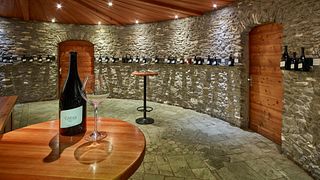 Tour vallesano con aperitivo e degustazione di vini al Domaine Jean-René Germanier