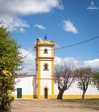 Tour com Almoço e Prova de Vinhos na Quinta Da Lagoalva De Cima