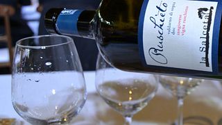 Degustazione di vini a Salceta