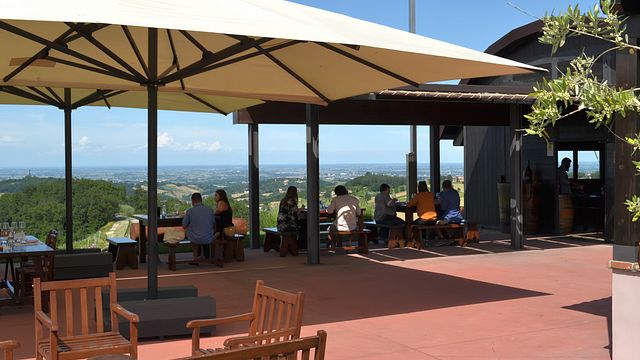 Verkostung und Besichtigung der Cantina Il Poggio 
