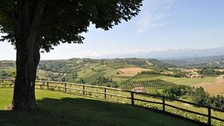 Manfredi - Bricco Rosso Winery