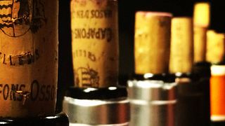 Degustazione di vini e tour presso la Celler Cooperatiu Gandesa
