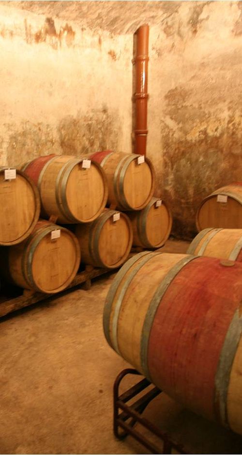 Cairats Selection - Celler Cairats