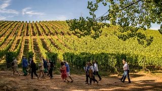 Lisbon Wine & Vineyard Journey at Quinta de Sant'Ana
