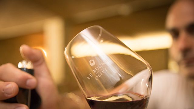 Tuscan Vineyard Tour & Premium Wine Tasting