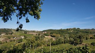Tenute Casoli Società Agricola
