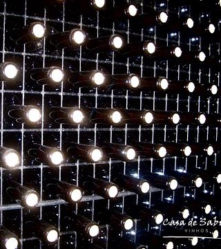 Degustazione di vini e visita a Casa De Sabicos
