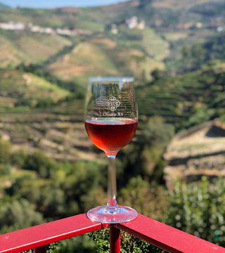 Tour dei vigneti e degustazione di vino Porto presso Quinta da Pousada - Casa de Campo
