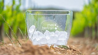 Dégustation et Visite Exclusives au Mas Bertran