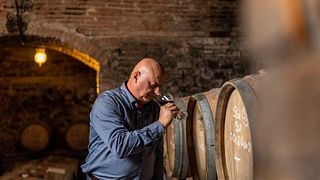 Degustação de vinhos e tour na Fattoria Poggio Capponi