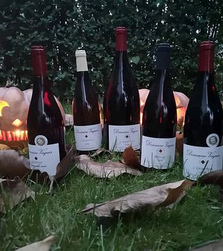 Dégustation et visite de vins au Domaine Vaquer
