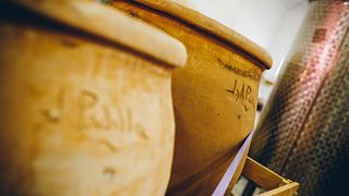 Naturlig vinprovning och rundtur på Bodegas Gratias. Familia Y Vinedos