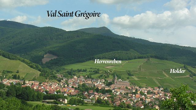 Vins Schoenheitz