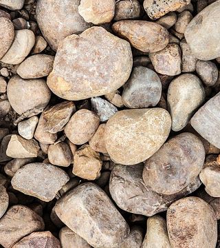 Ciavuro di Terra (edición de otoño)