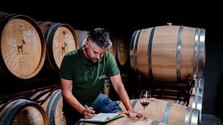 Esplora i vini Cabrita: tour guidato dei vigneti e degustazione di 4 vini premium