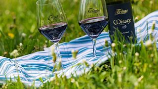 Besuchen und erleben Sie Weine auf dem Weingut Tringa