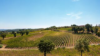 Montepulciano: Vinprovning på den toskanska landsbygden