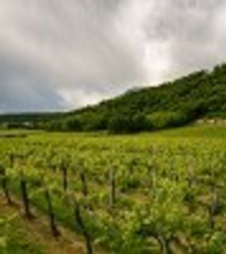 Weinprobe und Tour bei FERVIN