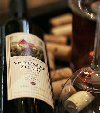 Degustazione di vini + cena al Wine From The Mill presso Vina Z Mlyna