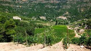 Celler Joan Ametller
