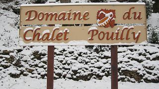 Degustazione di vini e visita al Domaine du Chalet Pouilly