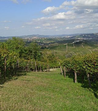Our selection | Gianni Ramello