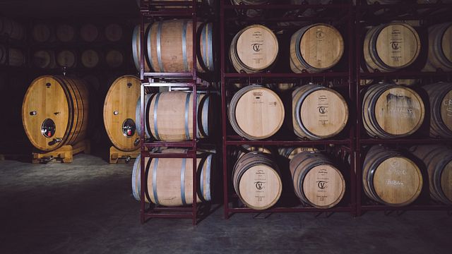 Pagos De Familia Vega Tolosa
