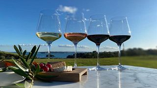 Cable Bay Vineyards