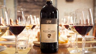 Tour alla Buccia Nera Degustazione „Tre Chianti“ und „Olio Evo Biologico“.