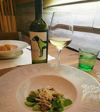 ORGANIC VIP wine tasting