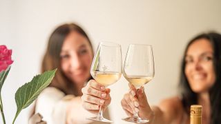 Degustazione di vini: Tour de France nel centro di Nizza